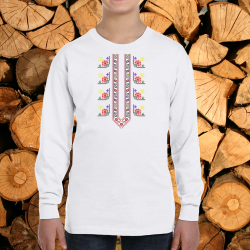 Детска  блуза с мотиви на шевици .