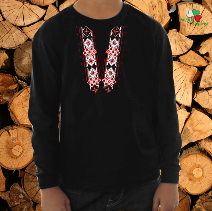 Детска блуза  с мотиви на шевици