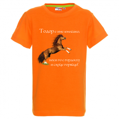 Цветна детска тениска- "Тодор е име юнашко"