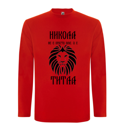Цветна мъжка блуза- Никола е титла