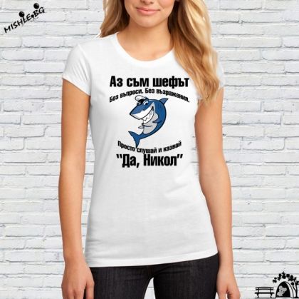 Аз съм шефът Никол