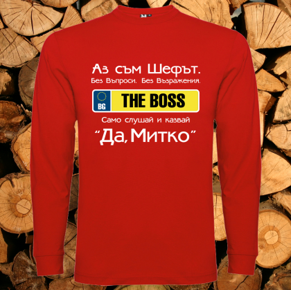 Аз съм шефът Митко