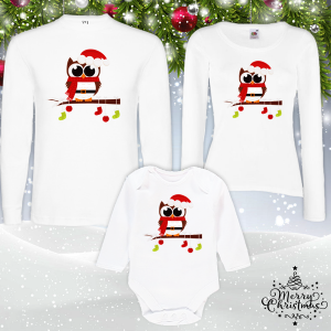 Коледен комплект-  Бухалче