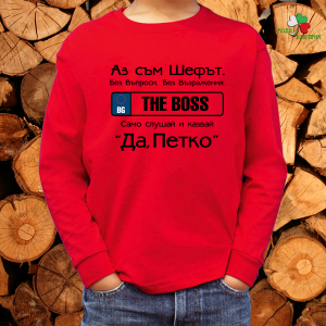 Аз съм шефът Петко