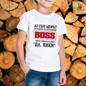 Аз съм шефът - Да, Ники