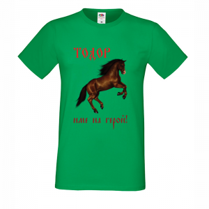 Цветна мъжка тениска- "Тодор - име на герой"