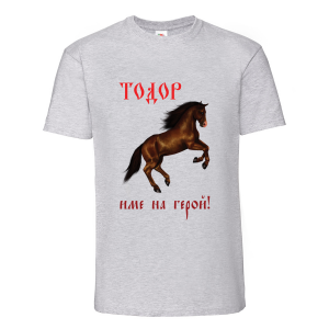 Цветна мъжка тениска- "Тодор - име на герой"