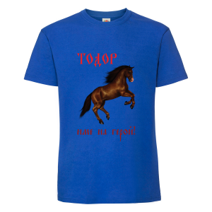 Цветна мъжка тениска- "Тодор - име на герой"