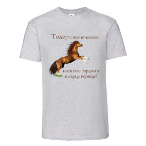 Цветна мъжка тениска- "Тодор е име юнашко"