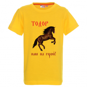 Цветна мъжка тениска- "Тодор - име на герой"