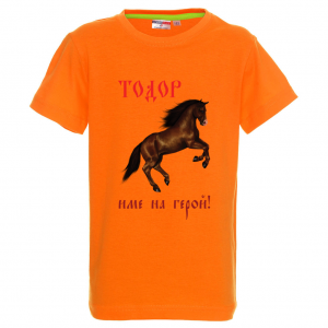 Цветна мъжка тениска- "Тодор - име на герой"