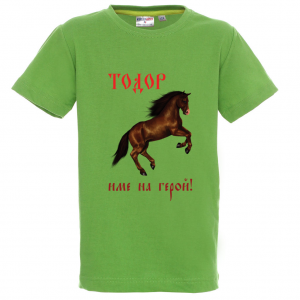 Цветна мъжка тениска- "Тодор - име на герой"