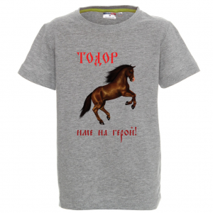 Цветна мъжка тениска- "Тодор - име на герой"
