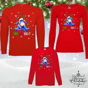 Забавен коледен комплект- Йори