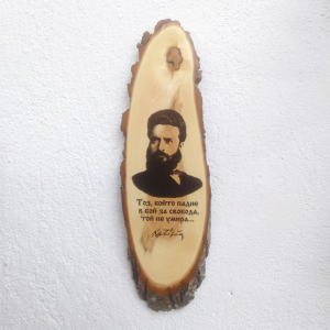 Пано за стена с Христо Ботев