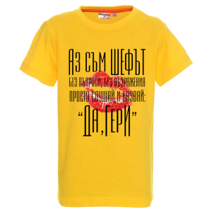 Цветна детска тениска - Аз съм шефът Гери