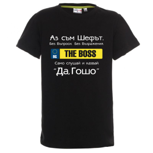 Цветна детска тениска - Шефът Гошо