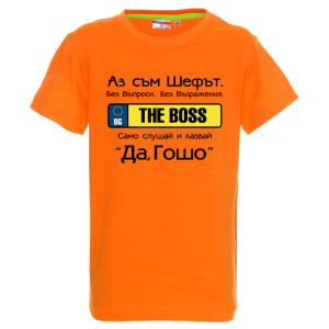 Цветна детска тениска - Шефът Гошо