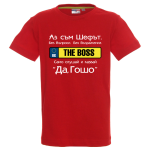 Цветна детска тениска - Шефът Гошо