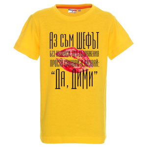 Цветна детска тениска- Аз съм шефът Дими
