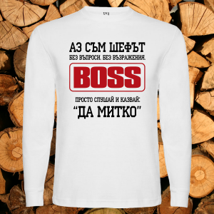 Аз съм шефът Митко
