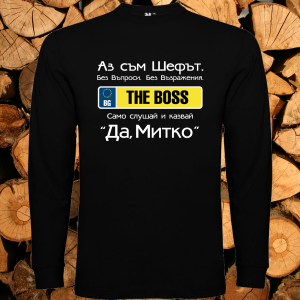 Аз съм шефът Митко