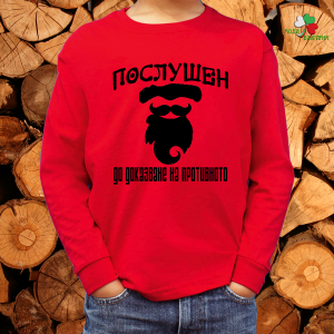 Детска коледна блуза- Непослушен